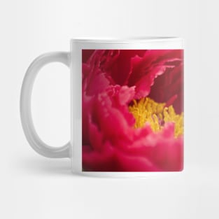 Inside a Red Peony Mug